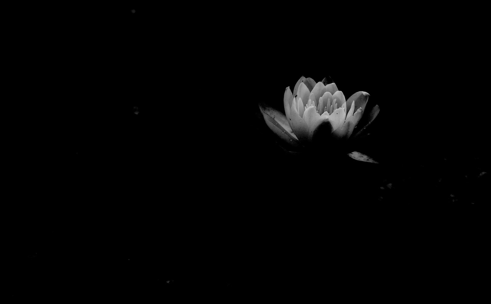 Sigma SD15 sample photo