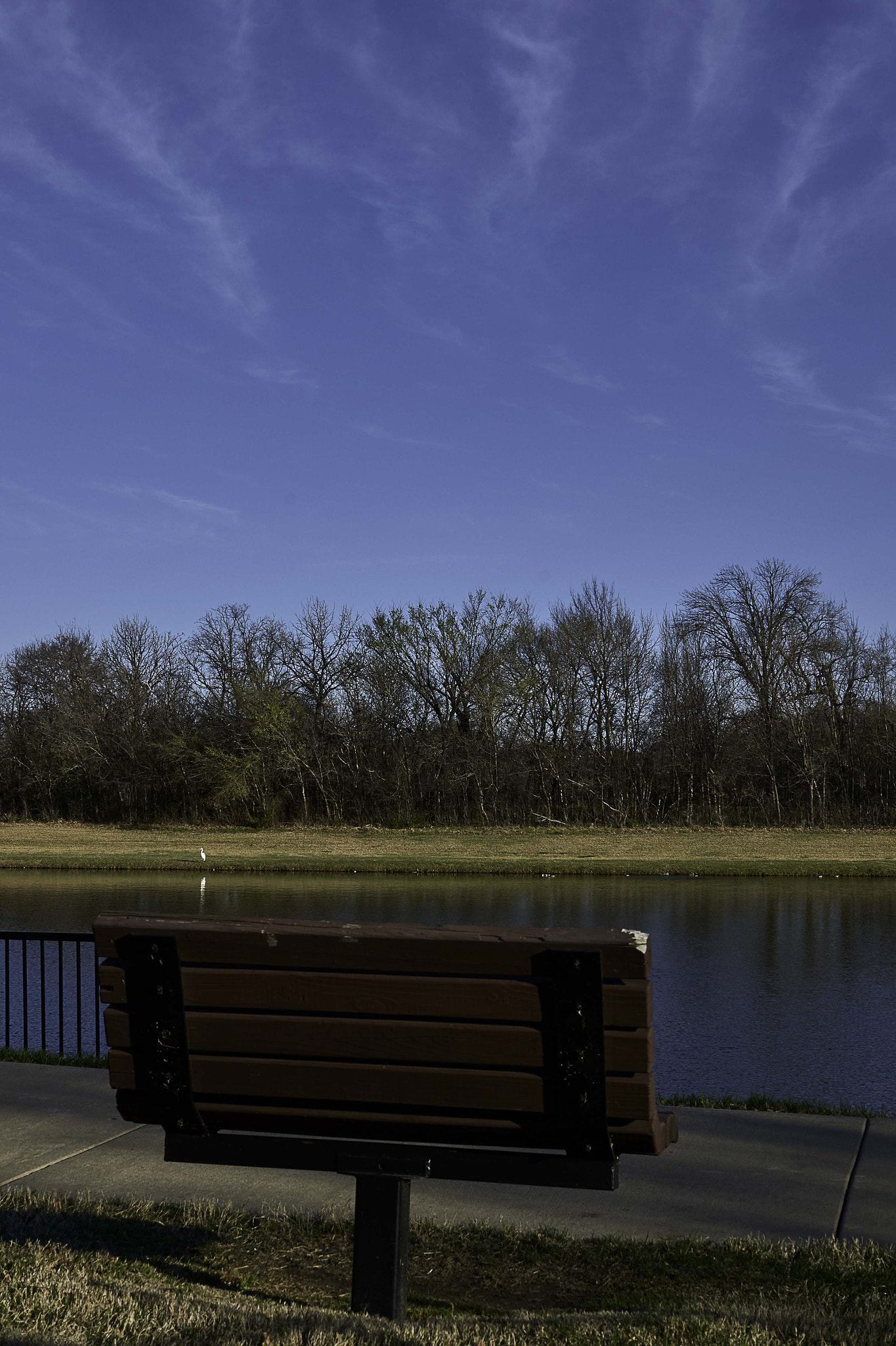 Nikon D800 sample photo. Serenity best seat in town photography