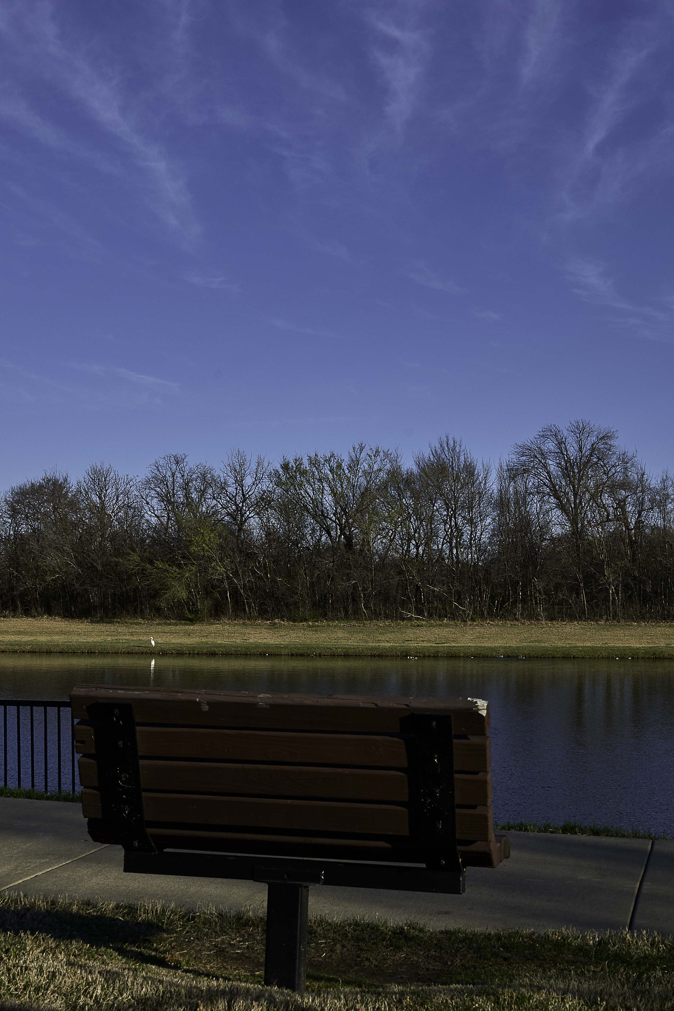 Nikon D800 + Nikon AF-S DX Nikkor 35mm F1.8G sample photo. Serenity best seat in town photography