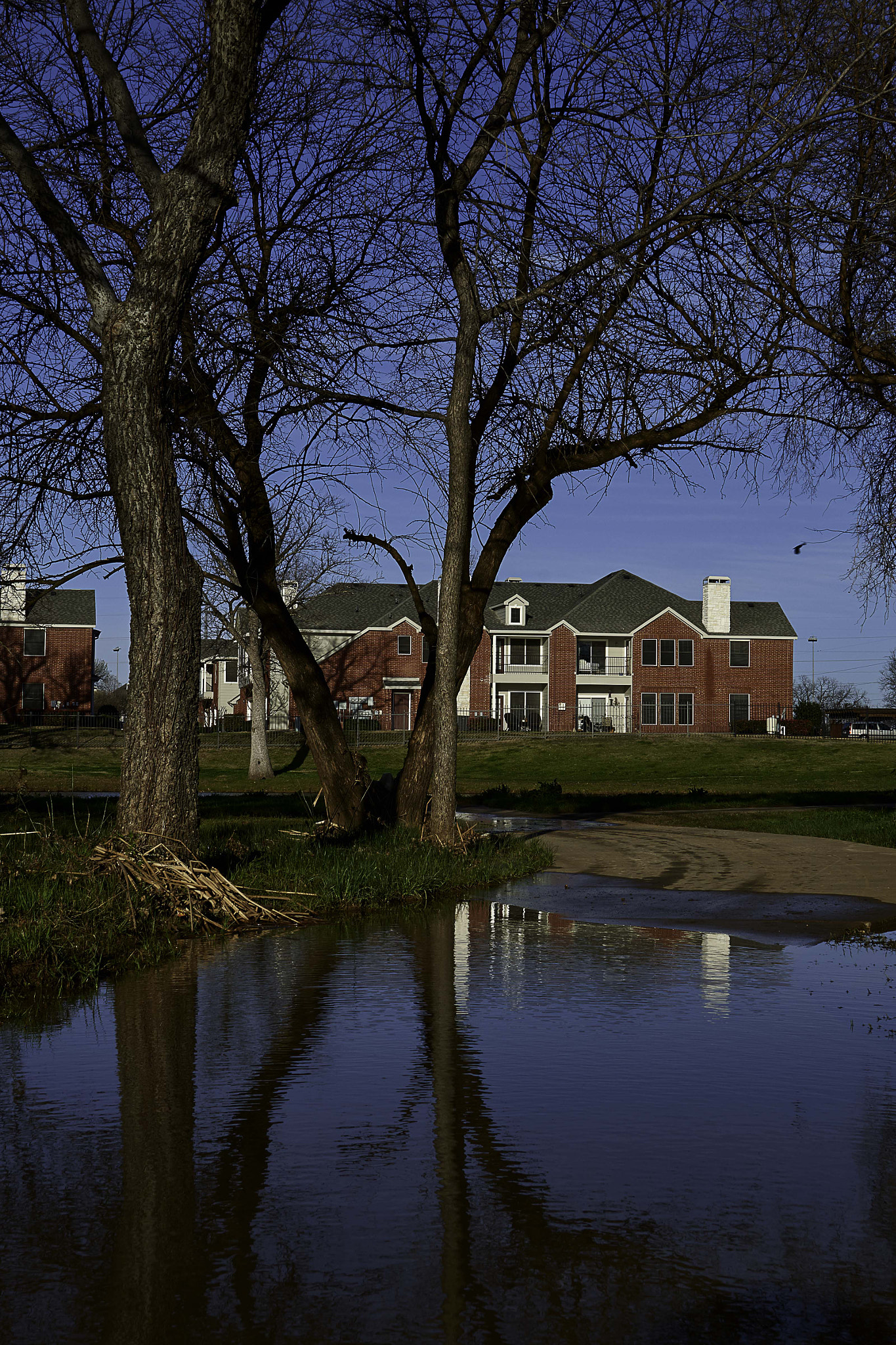 Nikon D800 sample photo. Spring morning reflection photography