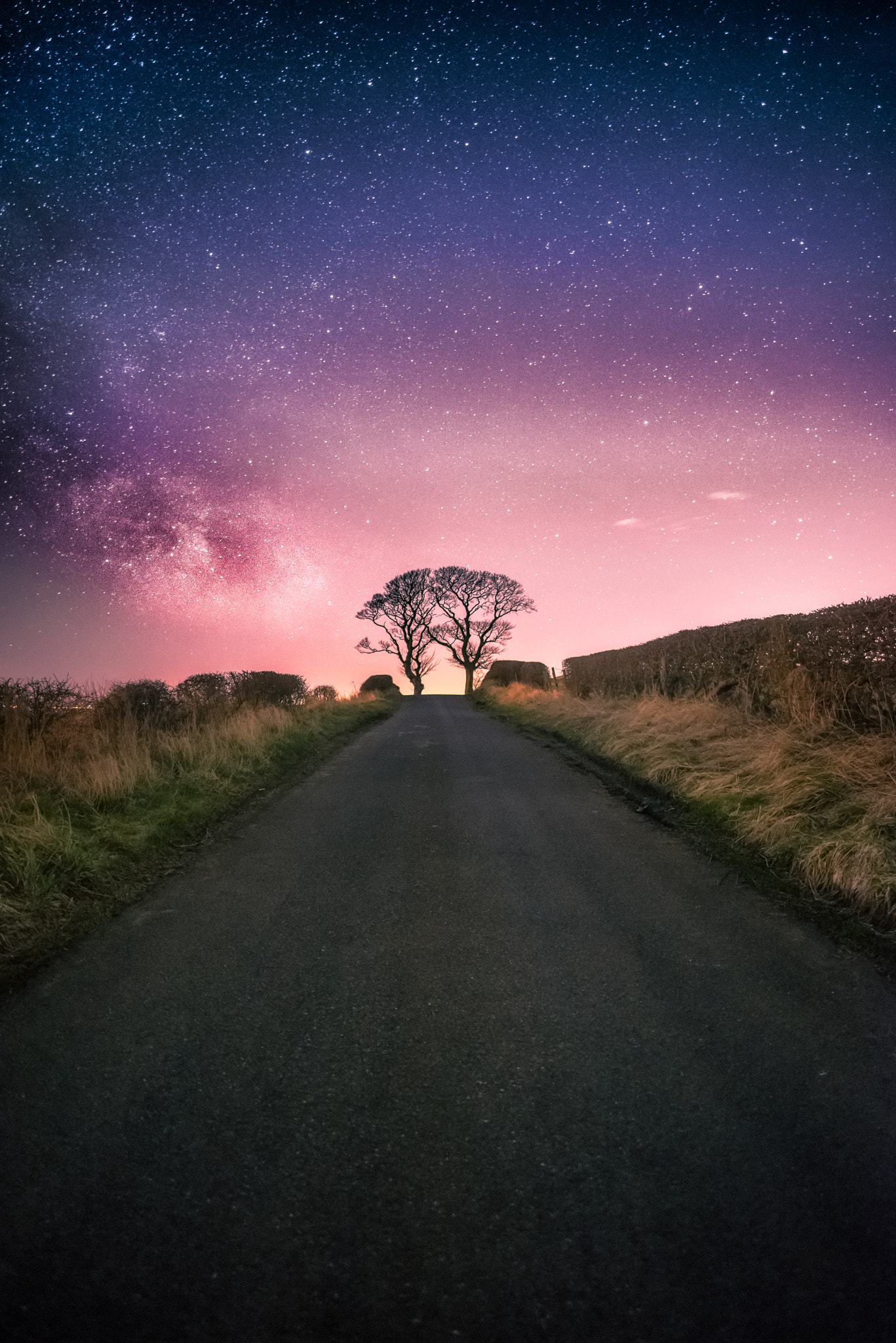 Nikon D810 + Nikon AF-S Nikkor 20mm F1.8G ED sample photo. Kissing trees photography