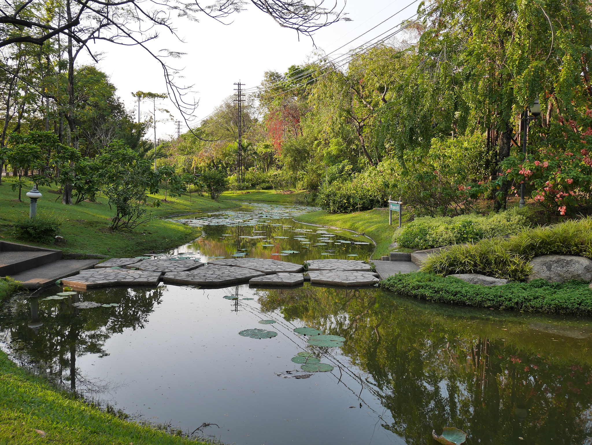 Panasonic Lumix DMC-GF8 sample photo. Botanic garden in chaotic city photography