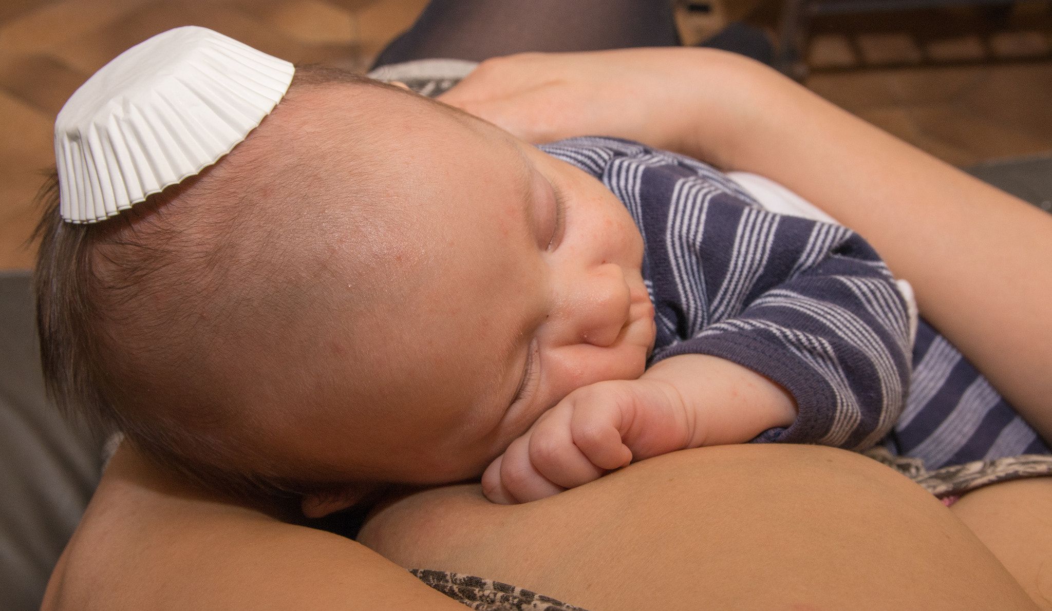 Sigma 17-50mm F2.8 EX DC OS HSM sample photo. Sleeping cupcake. photography