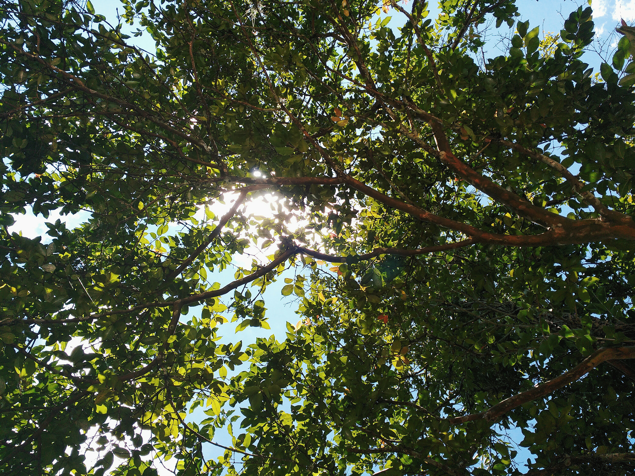 Motorola Moto G Turbo Edition sample photo