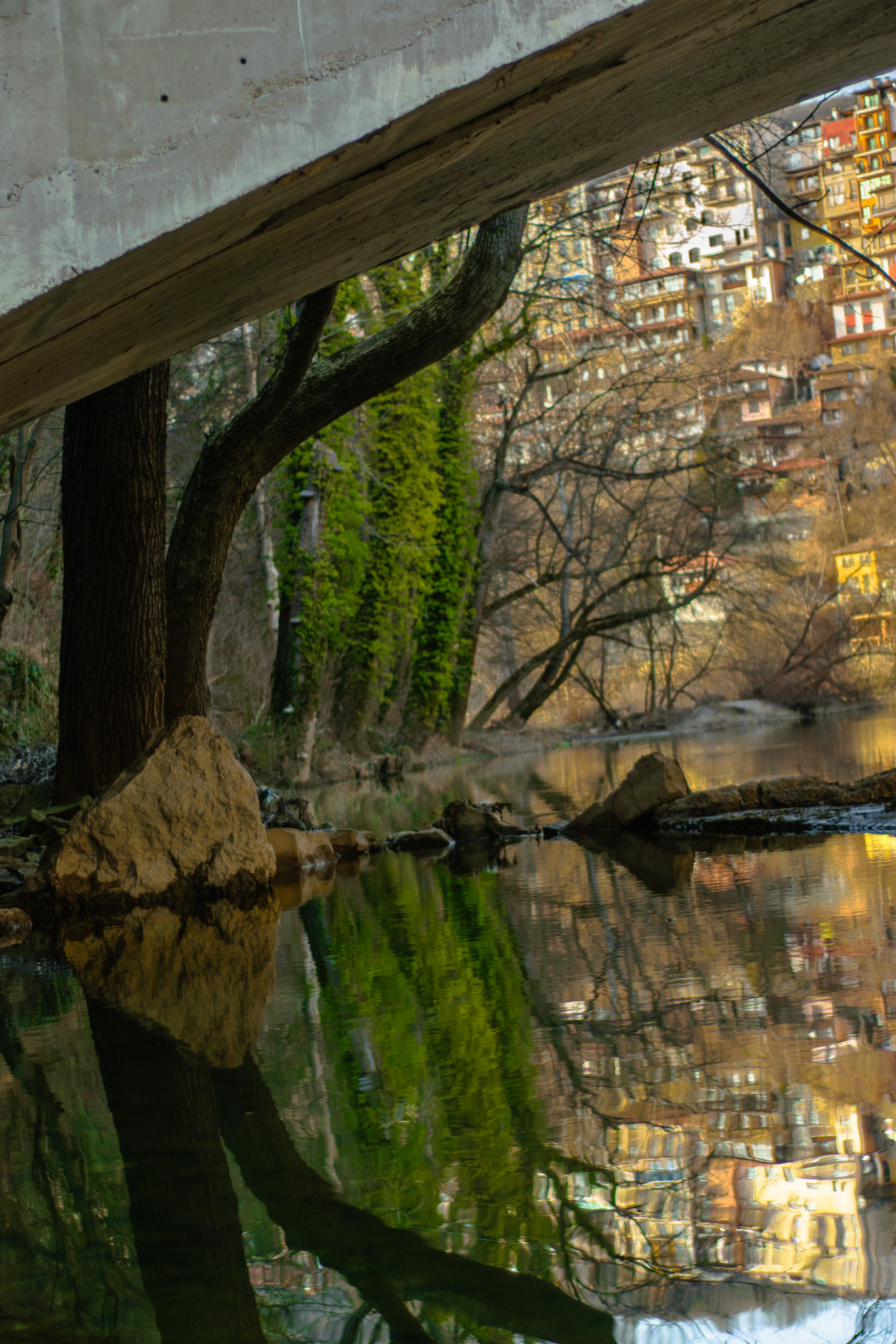 Nikon D3300 + Nikon AF Nikkor 50mm F1.8D sample photo. Reflection by the river! photography