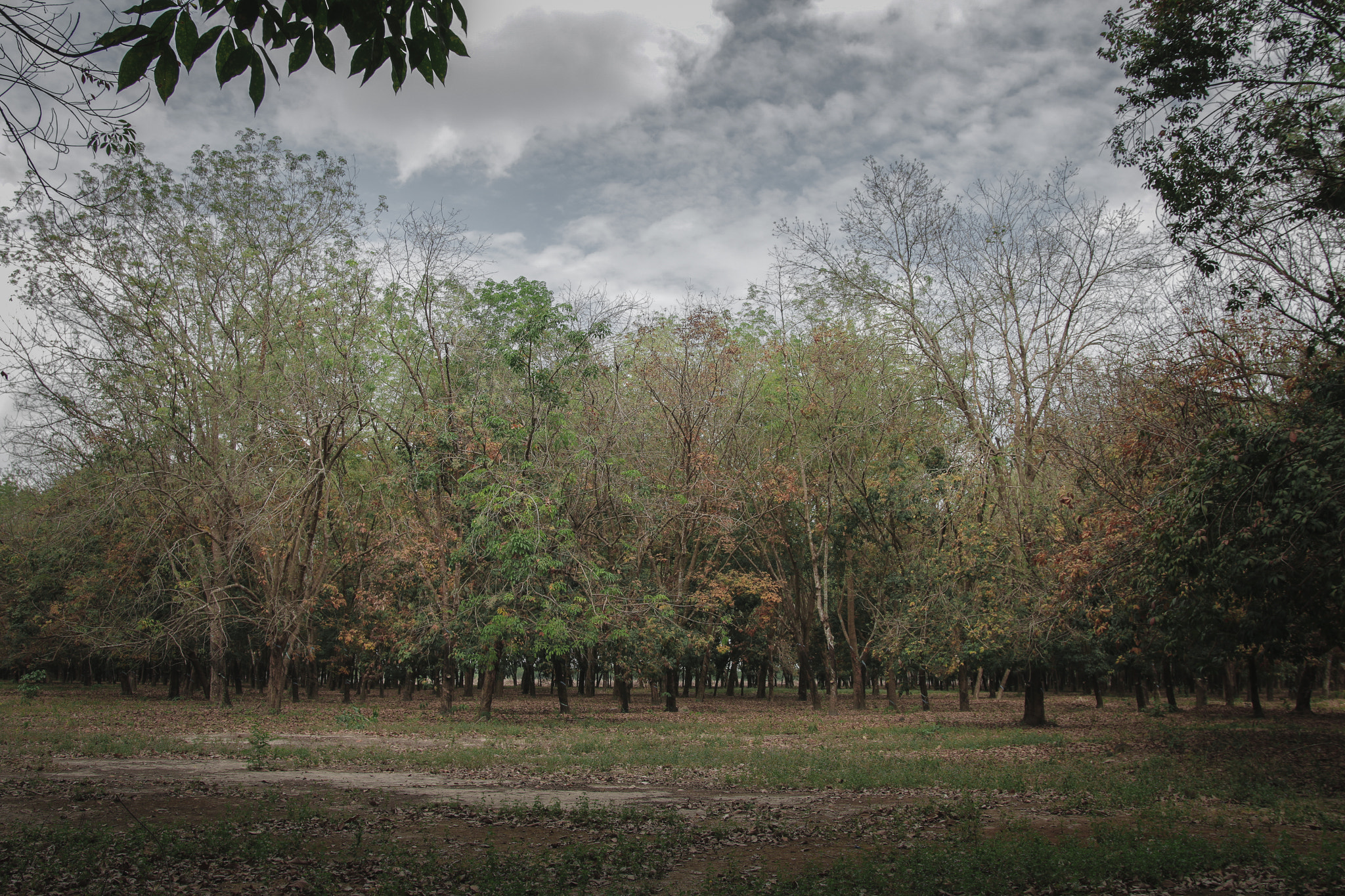 Sigma 18-35mm f/1.8 DC HSM sample photo. Img photography