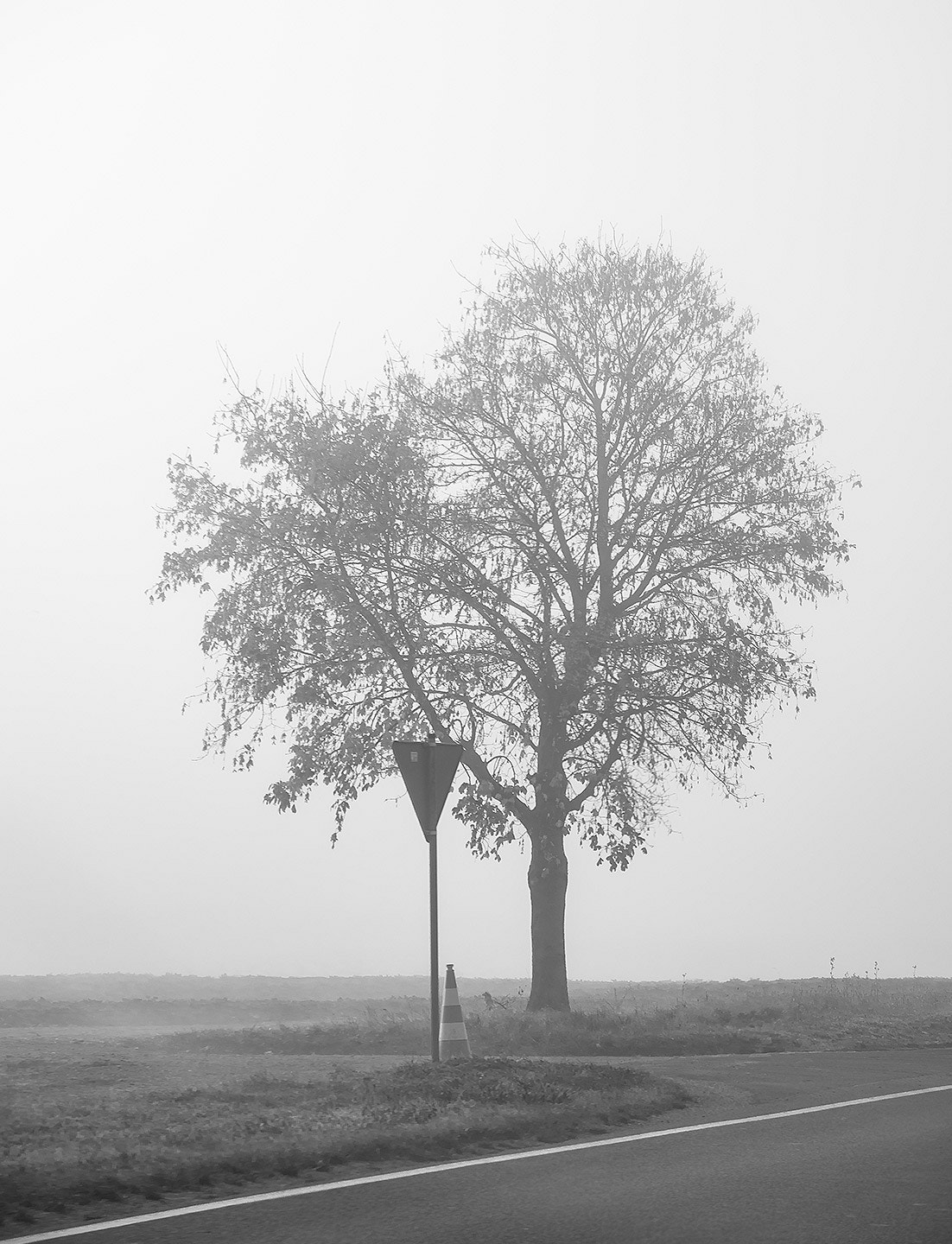 Pentax K-1 sample photo. Lone tree photography