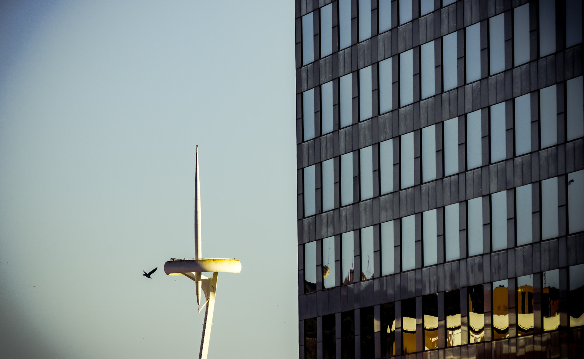 Canon EF 75-300mm F4.0-5.6 IS USM sample photo. La torre / the tower photography
