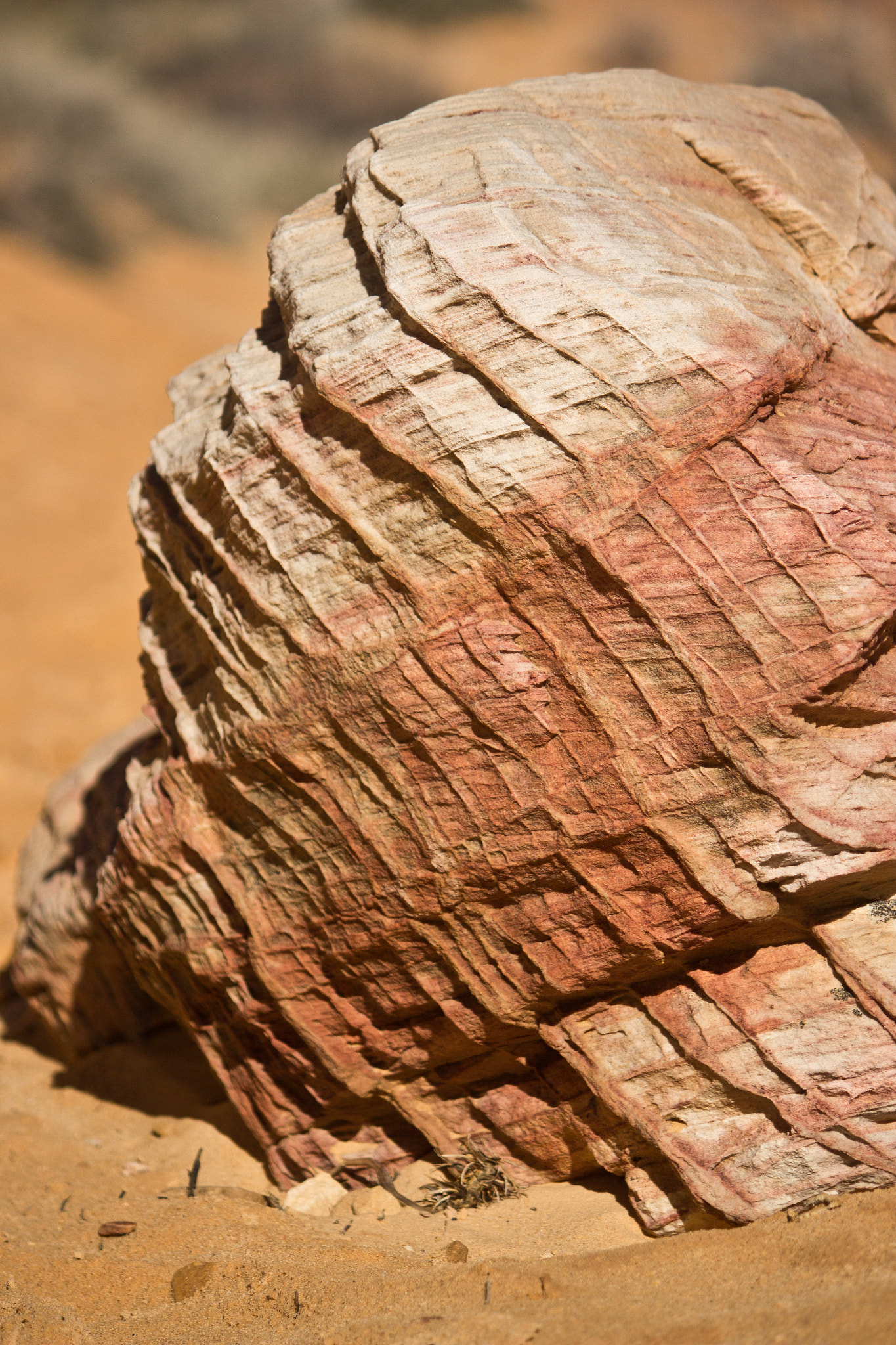 Canon EF-S 55-250mm F4-5.6 IS sample photo. Rock of ages photography
