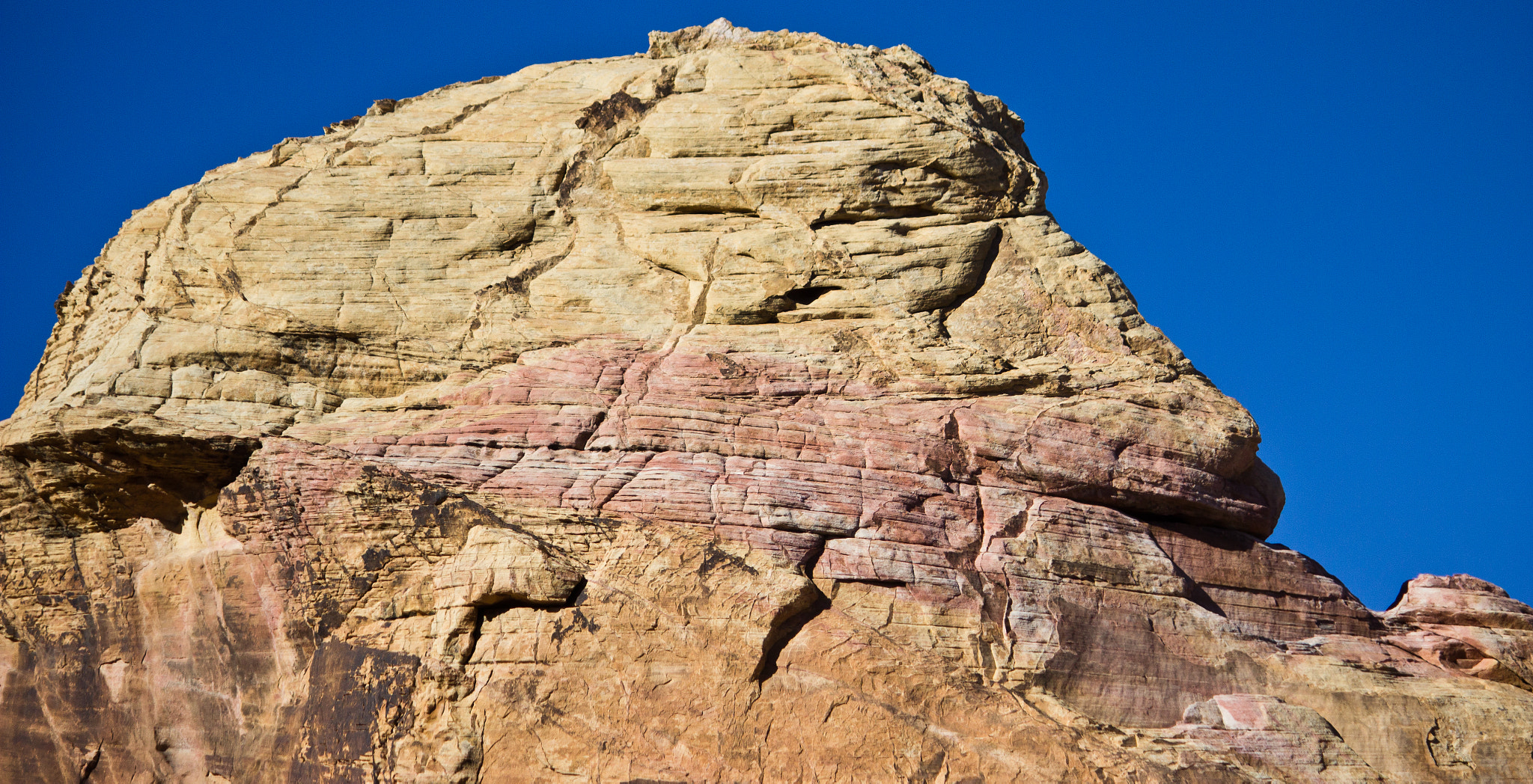 Canon EF-S 55-250mm F4-5.6 IS sample photo. Layers of life's colors photography