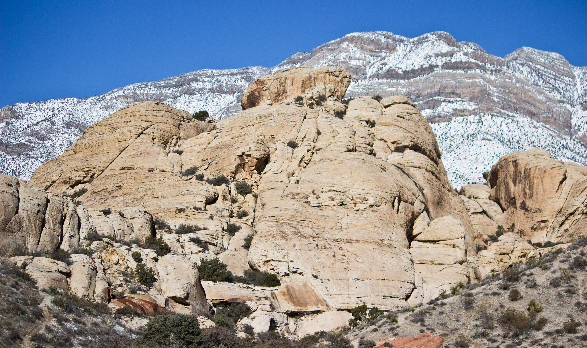 Canon EF-S 55-250mm F4-5.6 IS sample photo. Different side of the desert photography