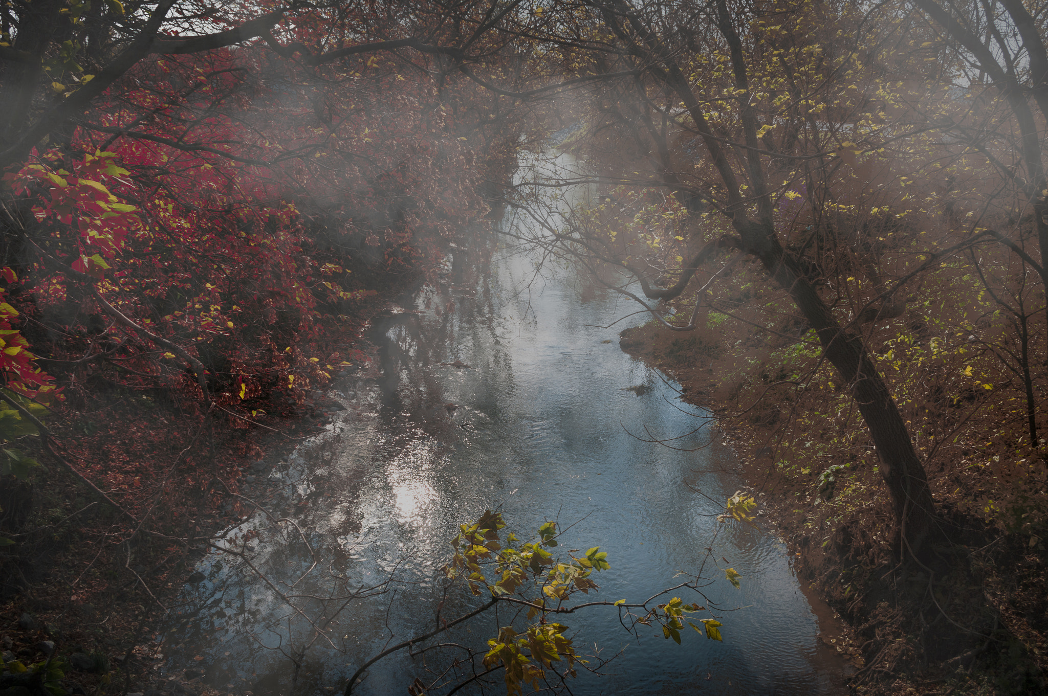 Pentax K20D sample photo. Misty stream photography