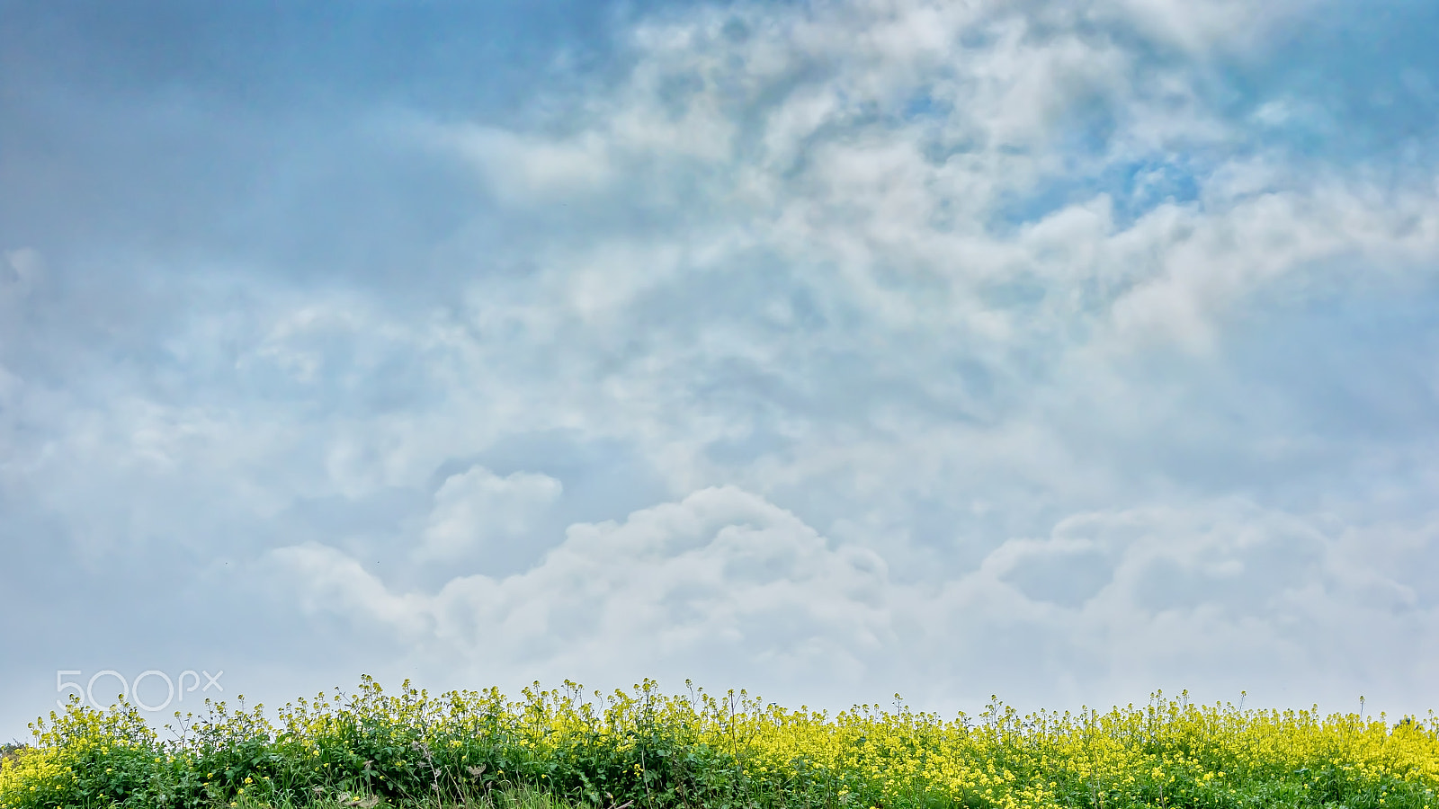 Canon EF 50mm F1.8 II sample photo. Big sky photography