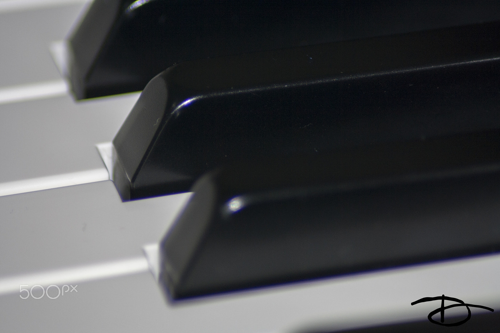 Canon EOS 1000D (EOS Digital Rebel XS / EOS Kiss F) sample photo. Ivories photography
