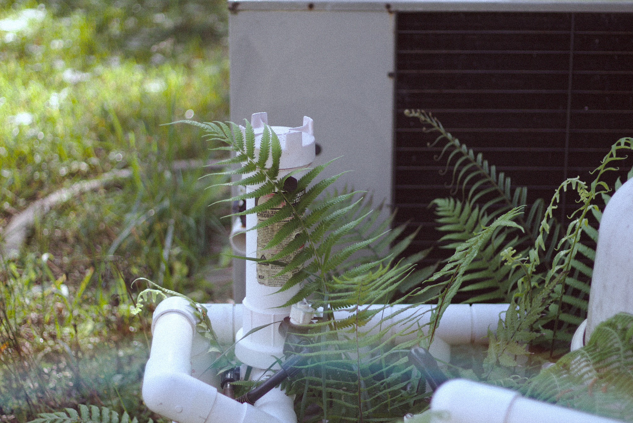 Canon EOS 100D (EOS Rebel SL1 / EOS Kiss X7) sample photo. Overgrown photography