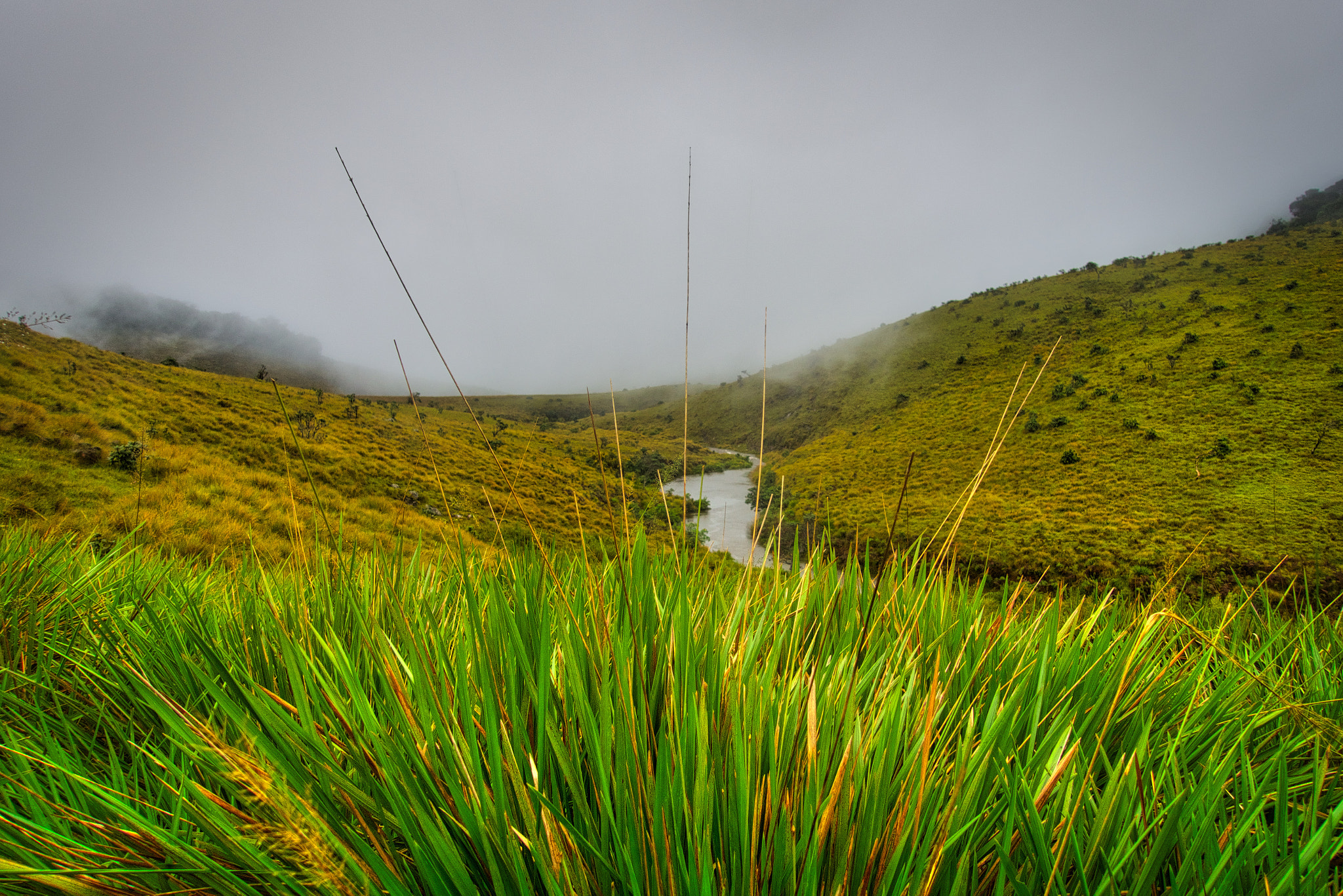 Sony Cyber-shot DSC-RX100 III + Sony 24-70mm F1.8-2.8 sample photo. Horton plains, sri lanka photography