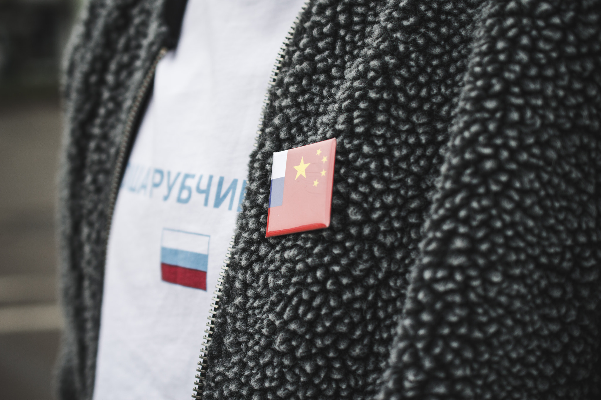 Nikon AF-S DX Micro Nikkor 40mm F2.8 sample photo. Gosha pin close up photography