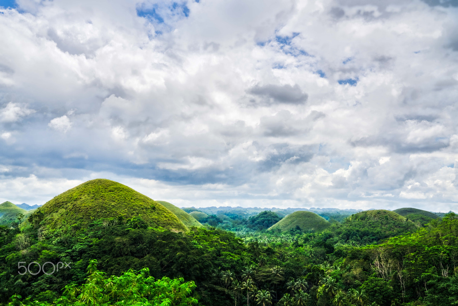 Sony FE 24-70mm F2.8 GM sample photo. The hills are alive photography