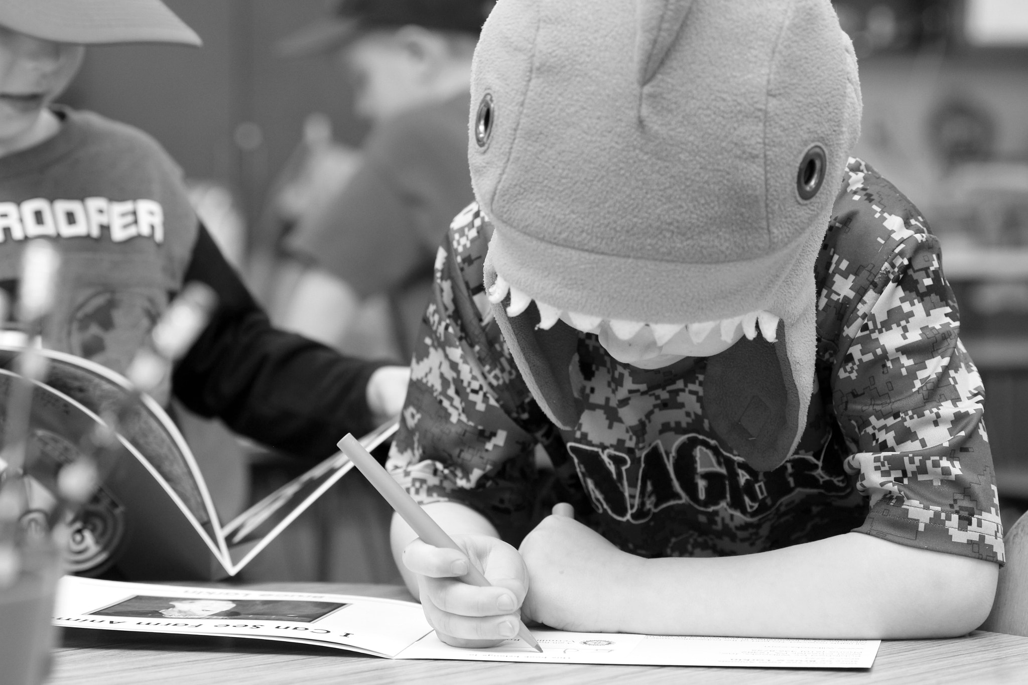 Canon EF 24-70mm F2.8L II USM sample photo. Shark school photography