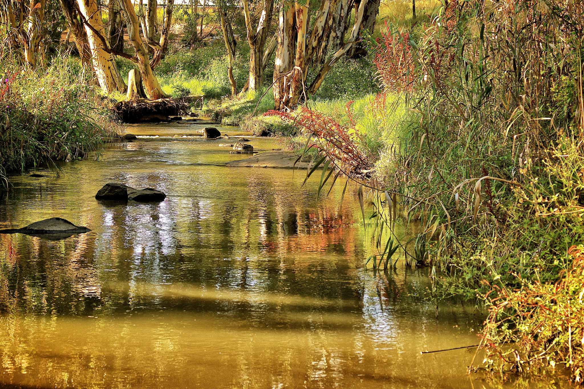 Sony SLT-A77 sample photo. Down by the river photography