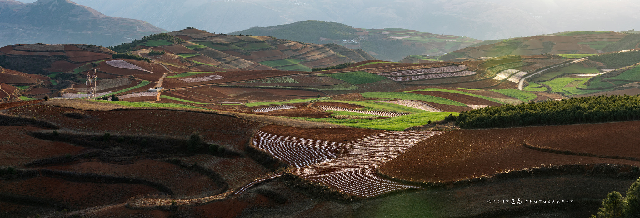 Canon EOS-1D X Mark II sample photo. Pano photography