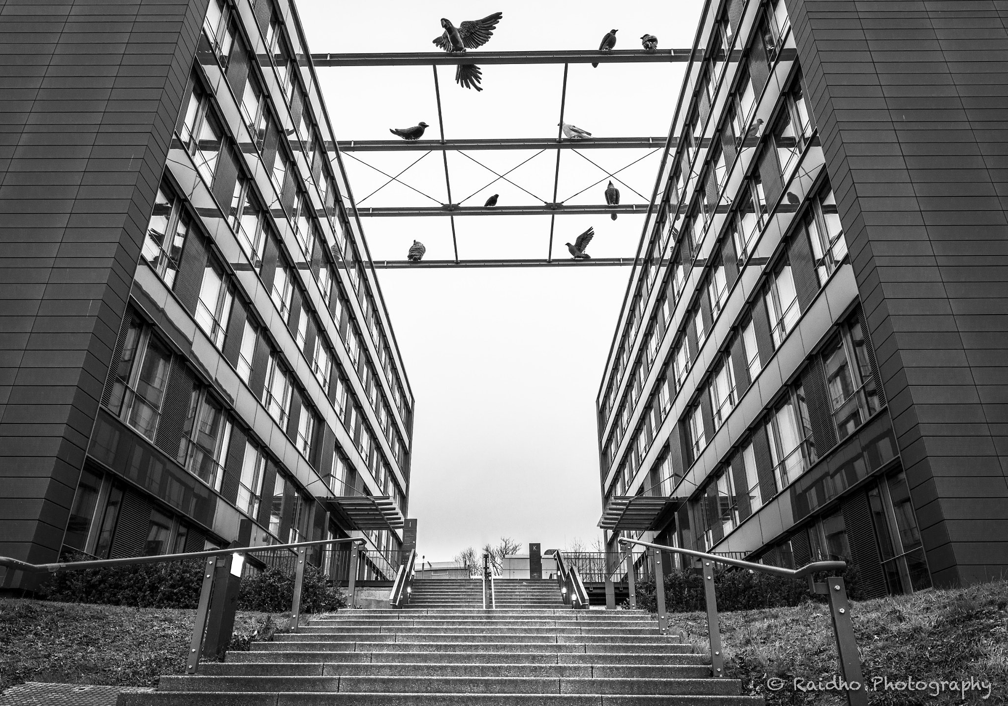 Canon EOS 650D (EOS Rebel T4i / EOS Kiss X6i) sample photo. University landau photography