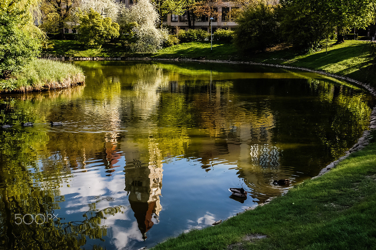 Nikon D40 sample photo. Spring can be so beautiful.. photography