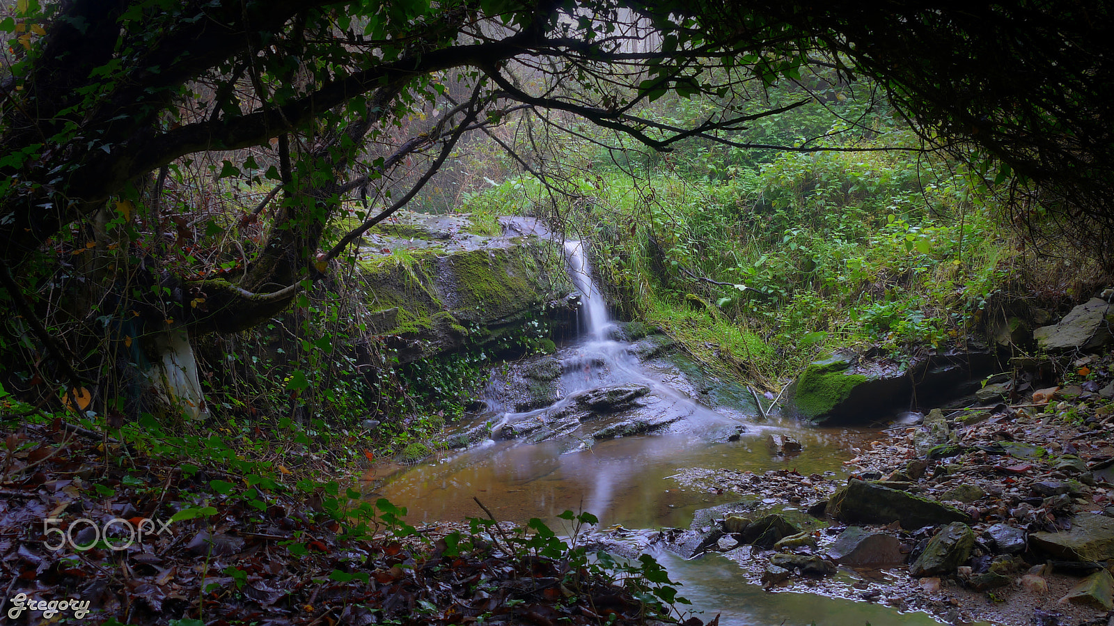 Panasonic Lumix DMC-G10 sample photo. Vertiskos forest photography