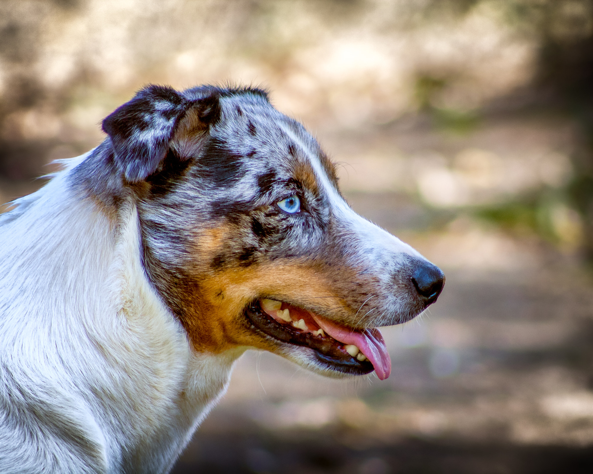 EF75-300mm f/4-5.6 sample photo. My bb photography