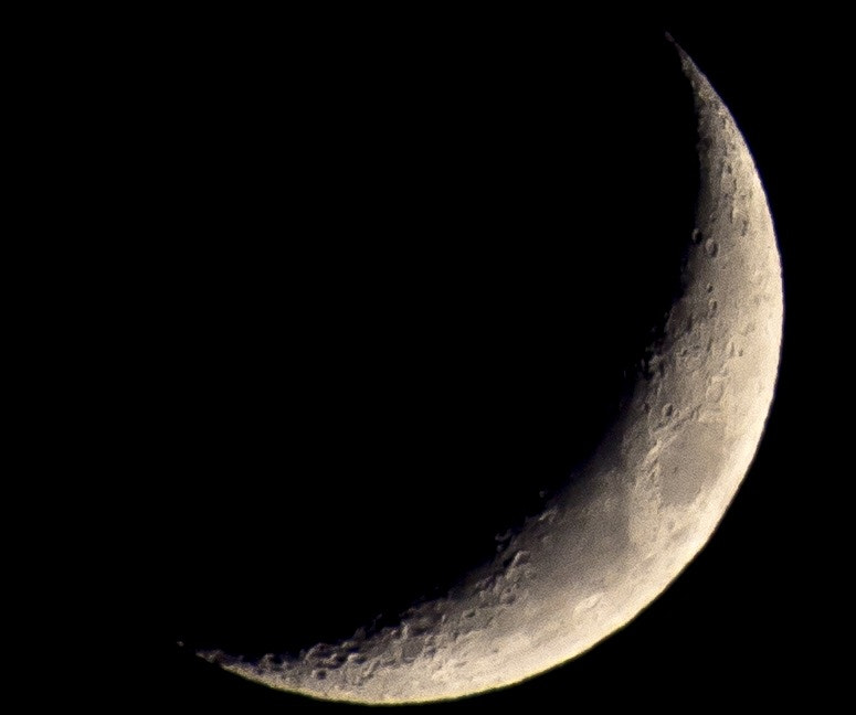 Nikon D7200 sample photo