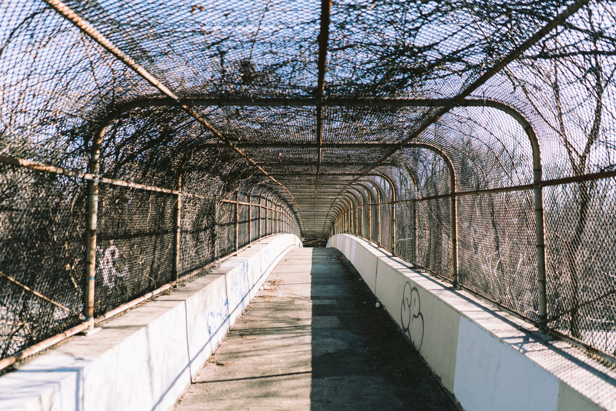 Sony FE 28mm F2 sample photo. Split photography