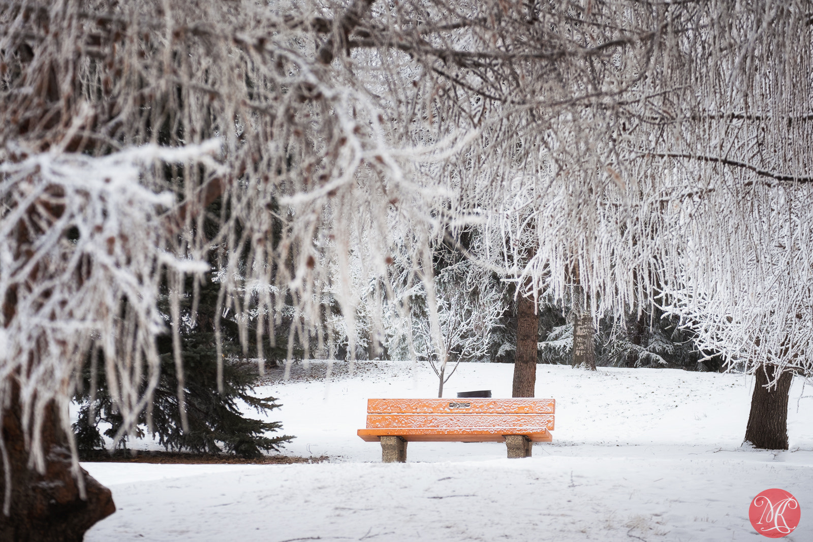 Fujifilm X-E2 + Fujifilm XF 55-200mm F3.5-4.8 R LM OIS sample photo. I'm waiting for you.. photography