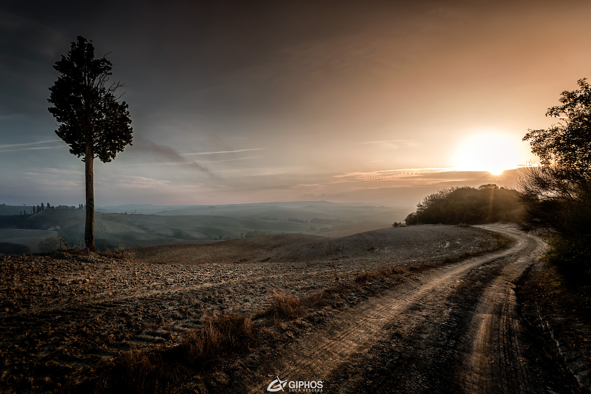 Sigma 8-16mm F4.5-5.6 DC HSM sample photo. The road to sunshine ! photography