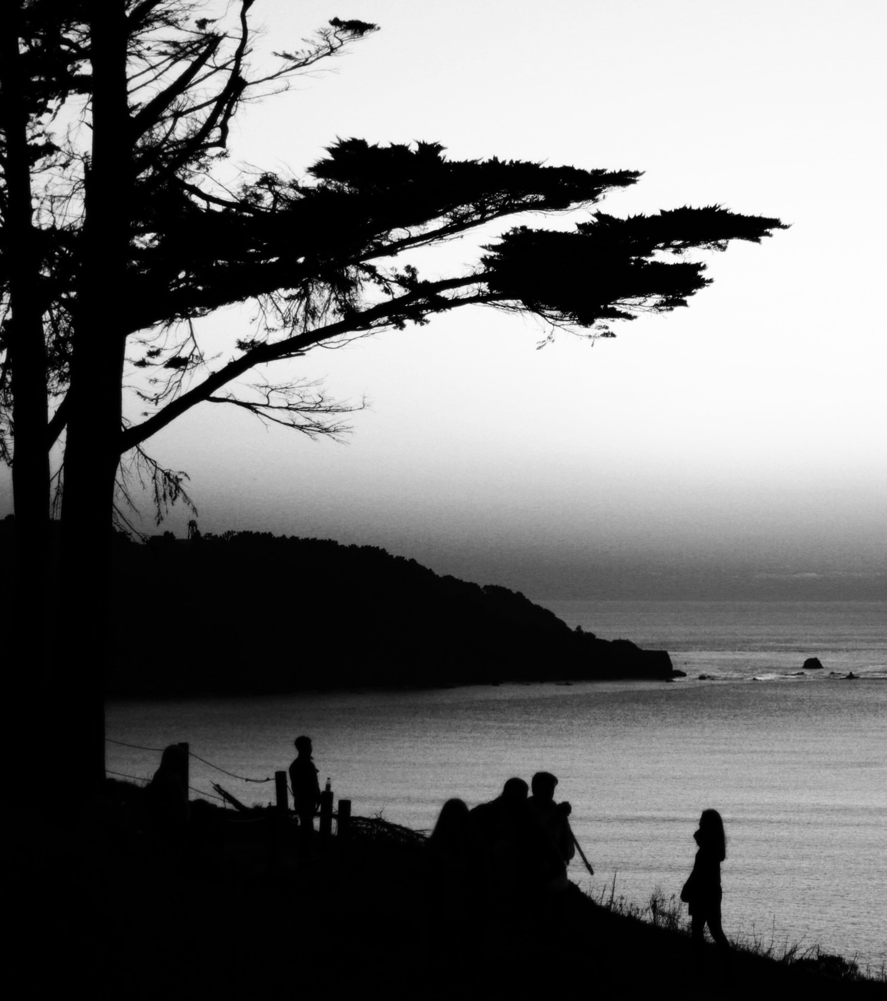 Canon EOS 600D (Rebel EOS T3i / EOS Kiss X5) sample photo. By the bay photography