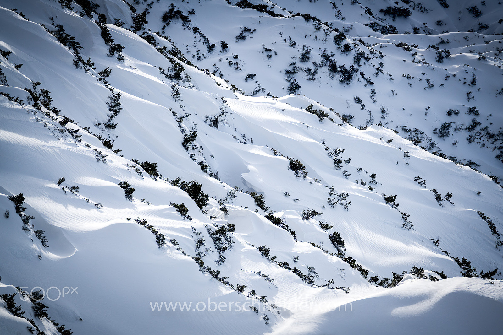 Sony 70-300mm F4.5-5.6 G SSM II sample photo. Snowscapes #2 photography