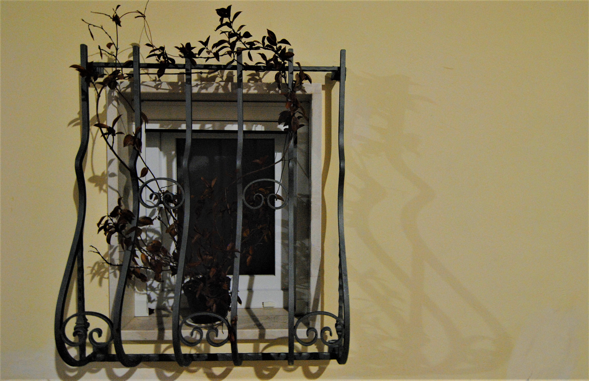 Nikon D3000 sample photo. Minimal? photography