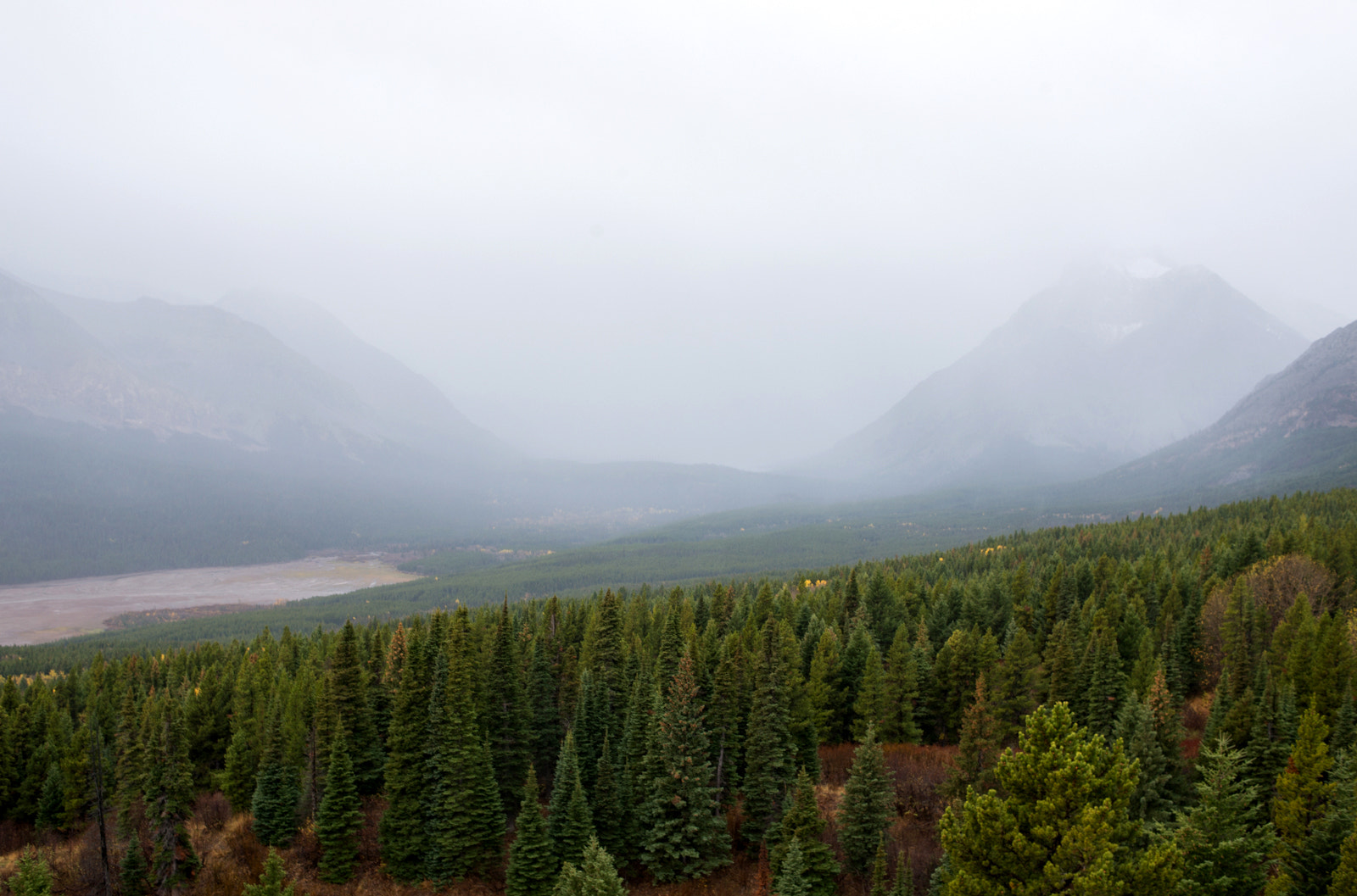 Nikon D800 + Nikon AF Nikkor 35mm F2D sample photo. Glacier national park photography