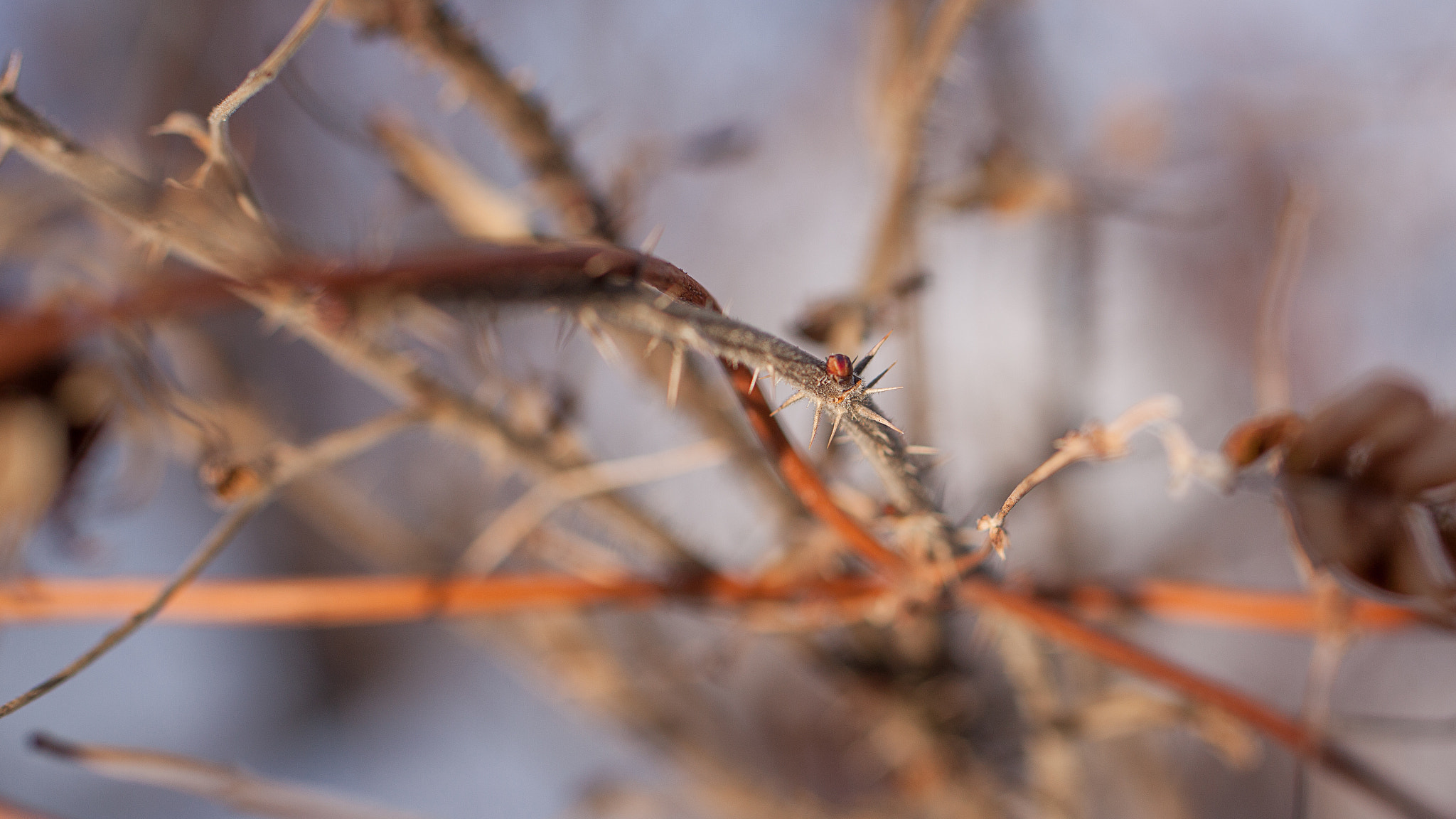 Tamron SP 45mm F1.8 Di VC USD sample photo. Img photography