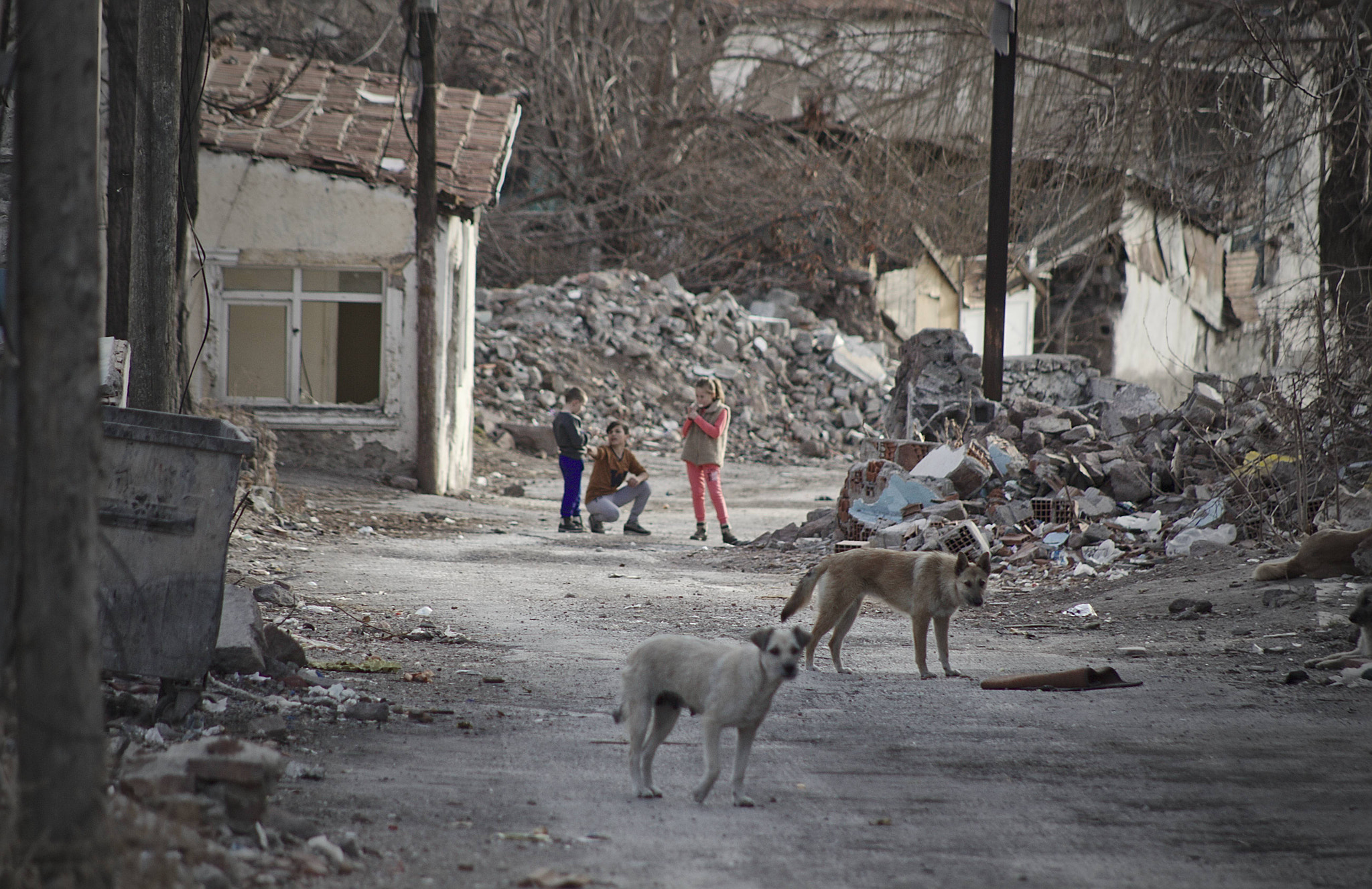 Canon EF 75-300mm f/4-5.6 USM sample photo. Slumdog life photography