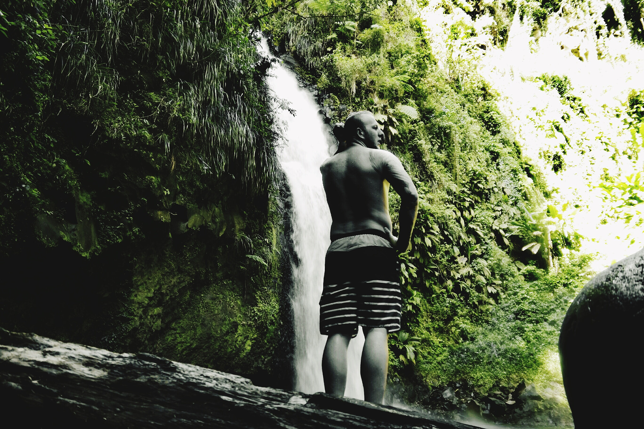 Samsung NX300M sample photo. In the jungle photography