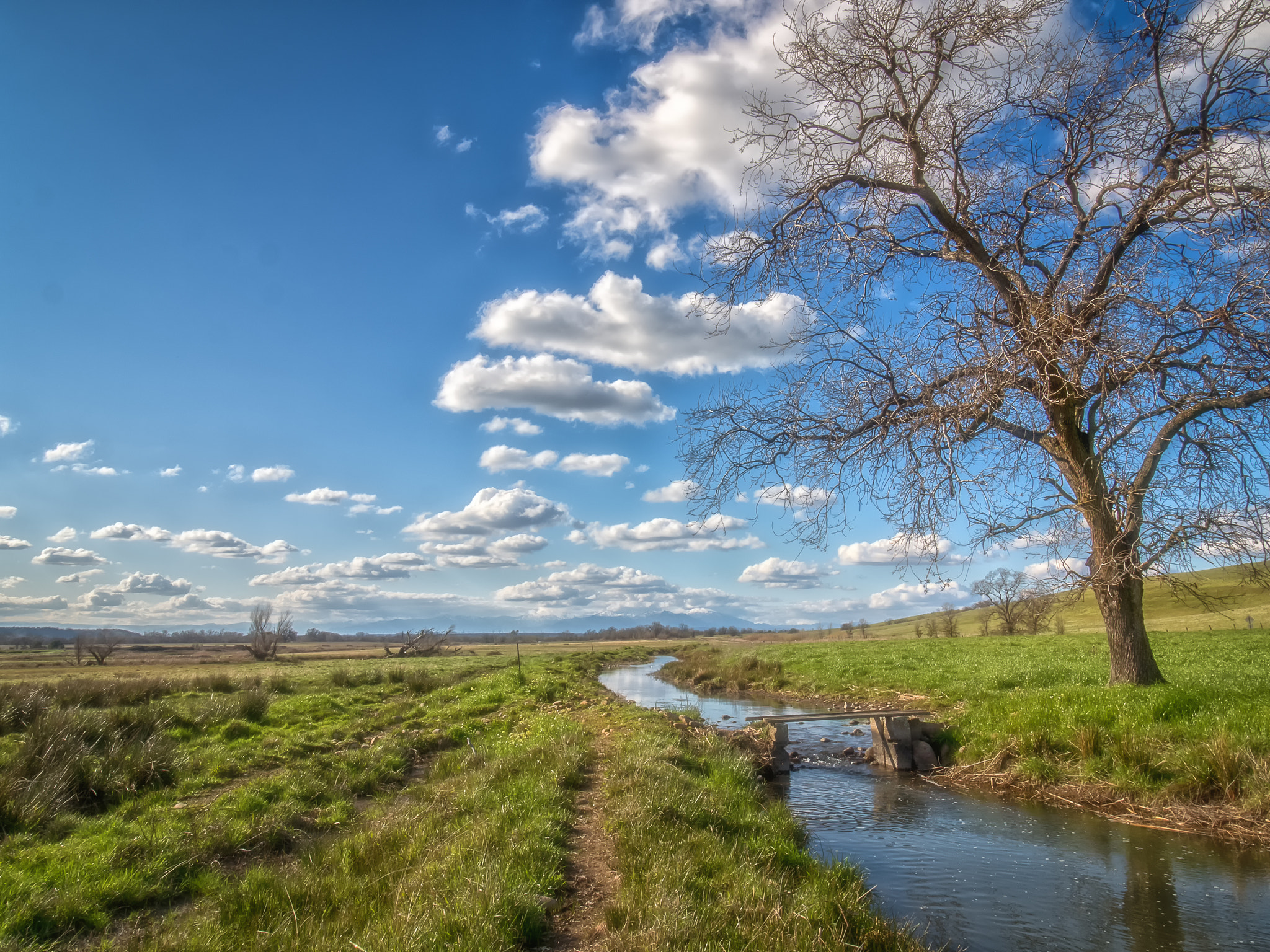 Olympus OM-D E-M5 II + Olympus M.Zuiko Digital ED 7-14mm F2.8 PRO sample photo. Taking the long way home photography