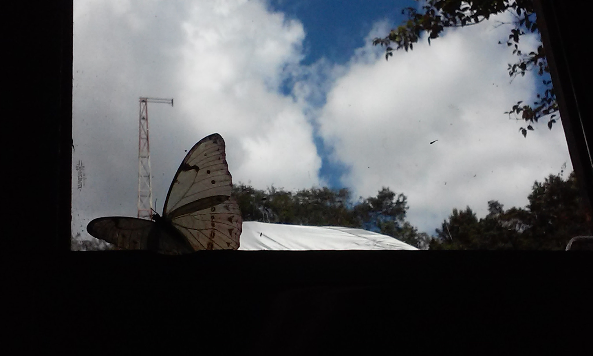 LG L70 sample photo