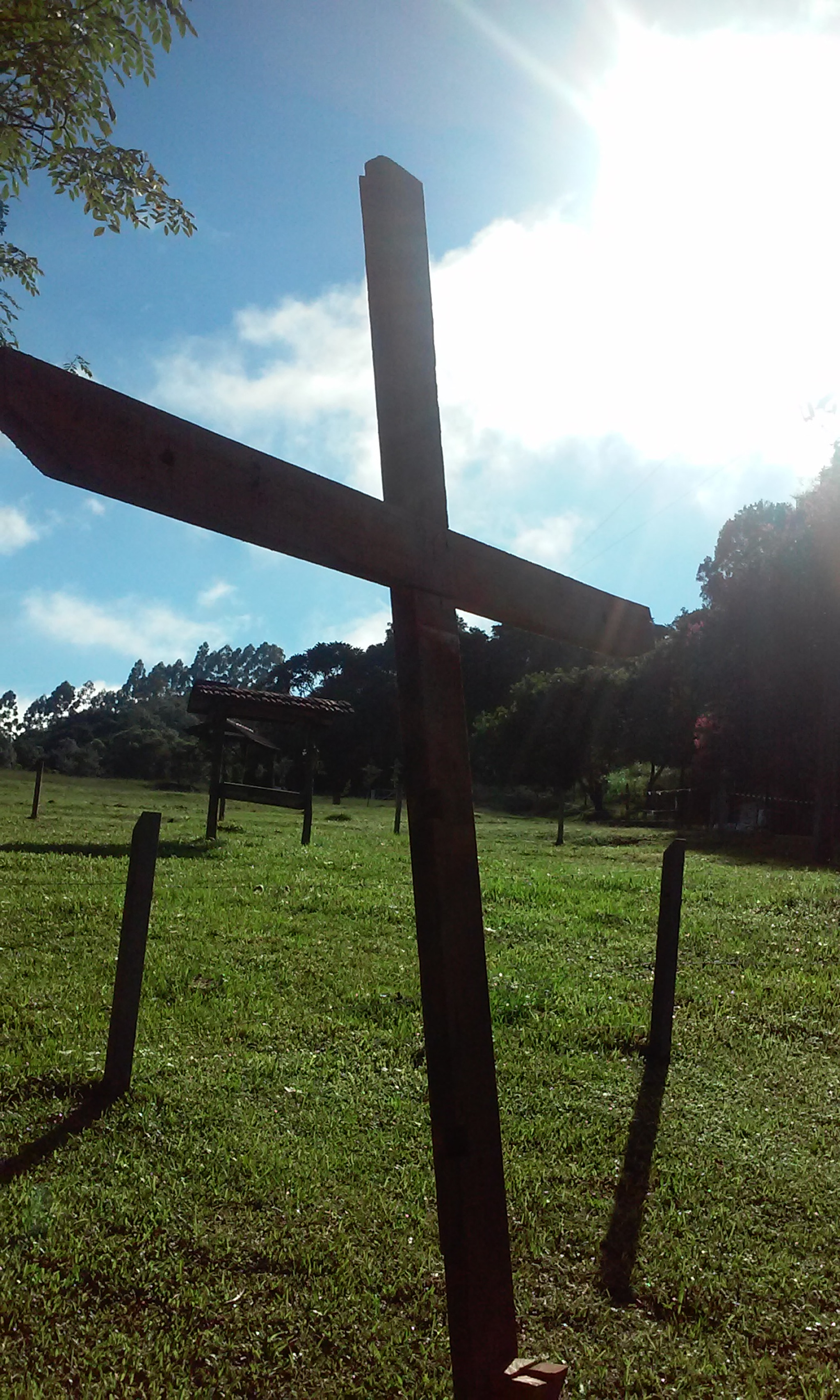 LG L70 sample photo