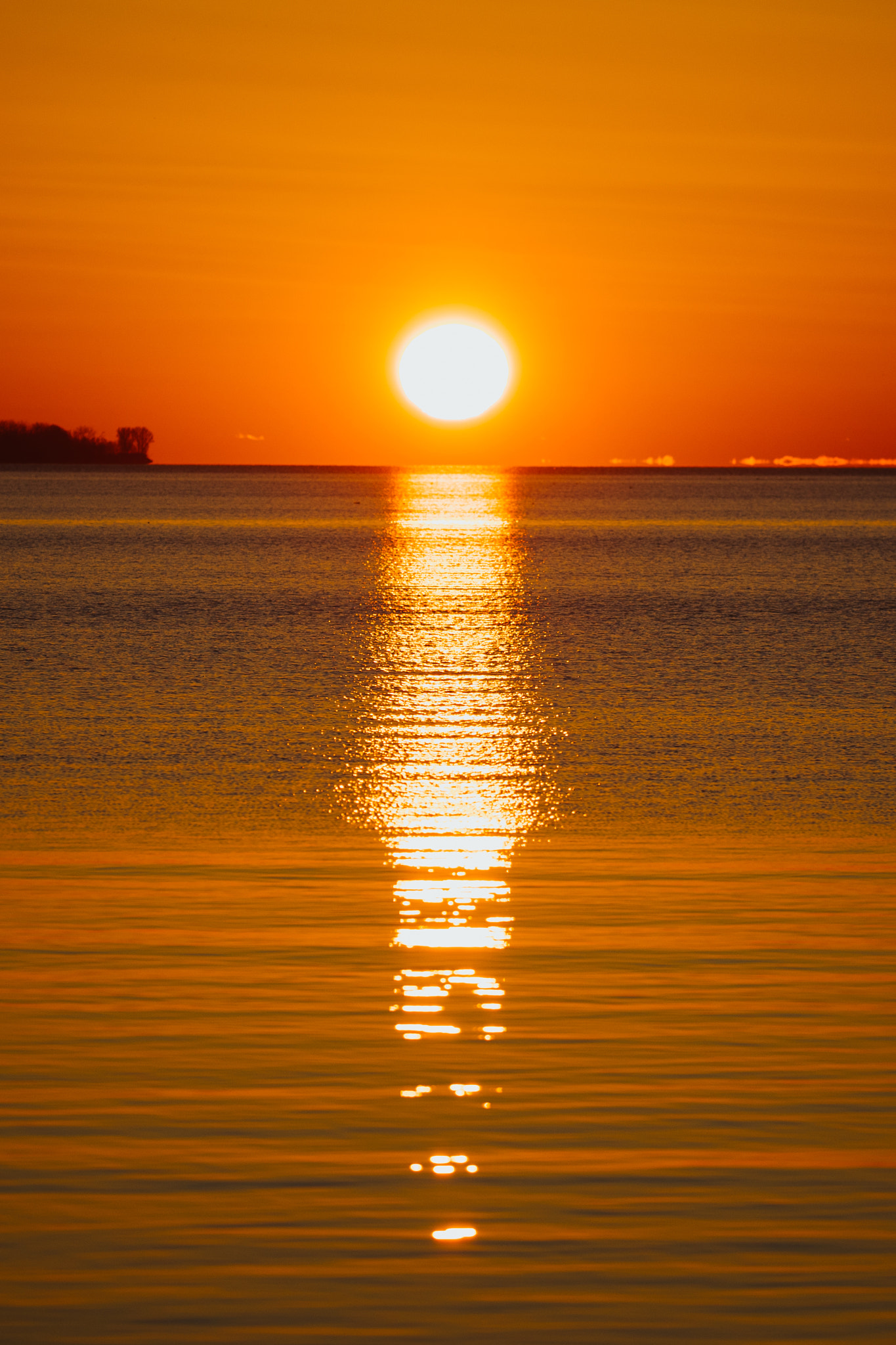 Canon EOS-1D X Mark II sample photo. Sun photography