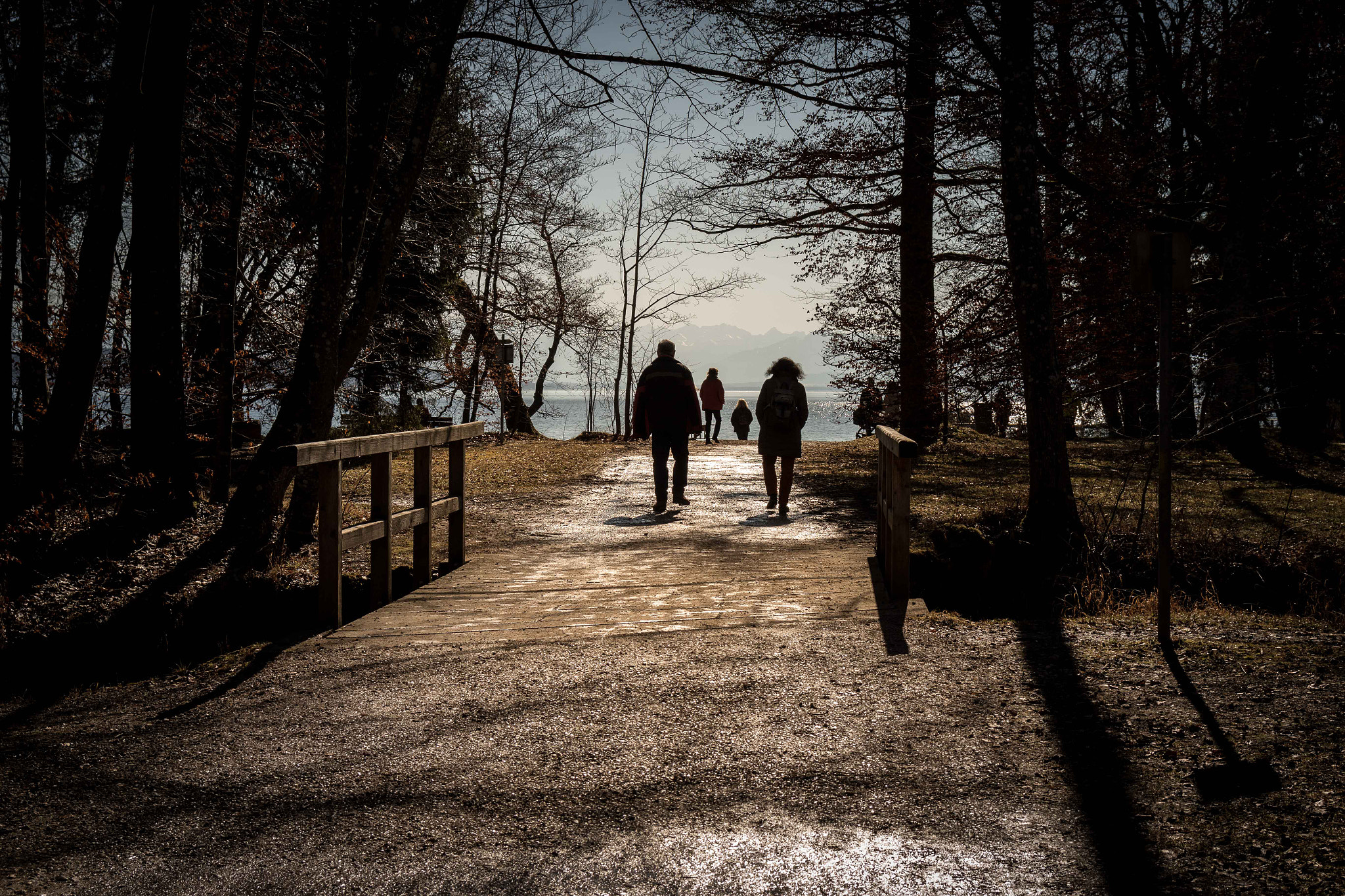 Canon EOS 7D Mark II + Canon EF-S 17-55mm F2.8 IS USM sample photo. Starnberger see photography