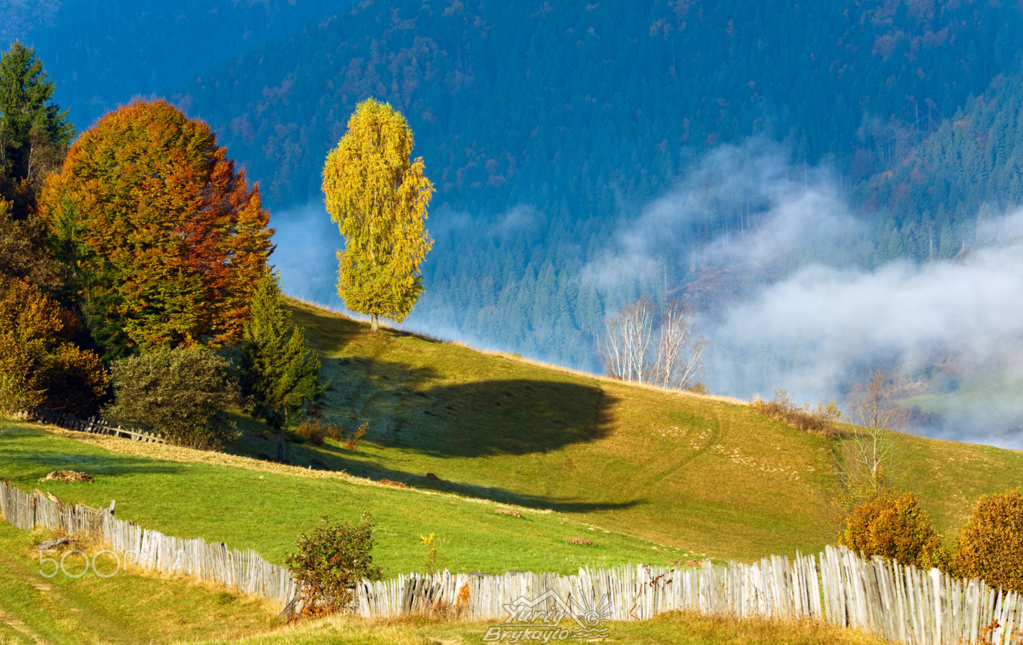 Canon EOS 5D + Canon EF 70-200mm F4L IS USM sample photo. Colorful  trees on mountainside photography