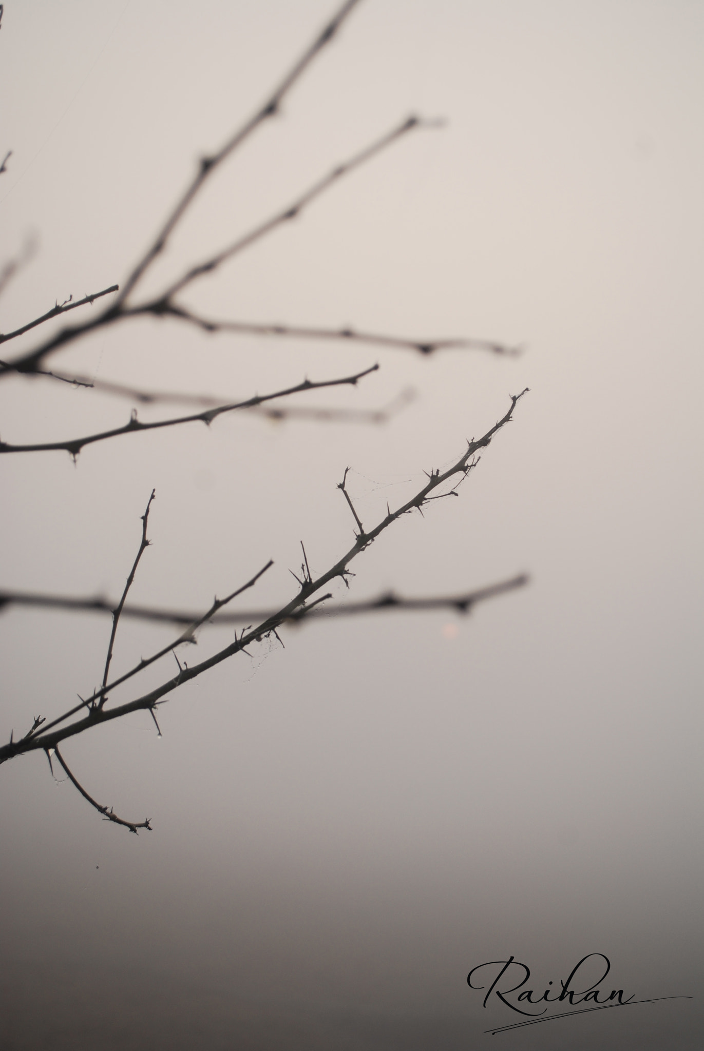 Nikon D80 sample photo. New photography