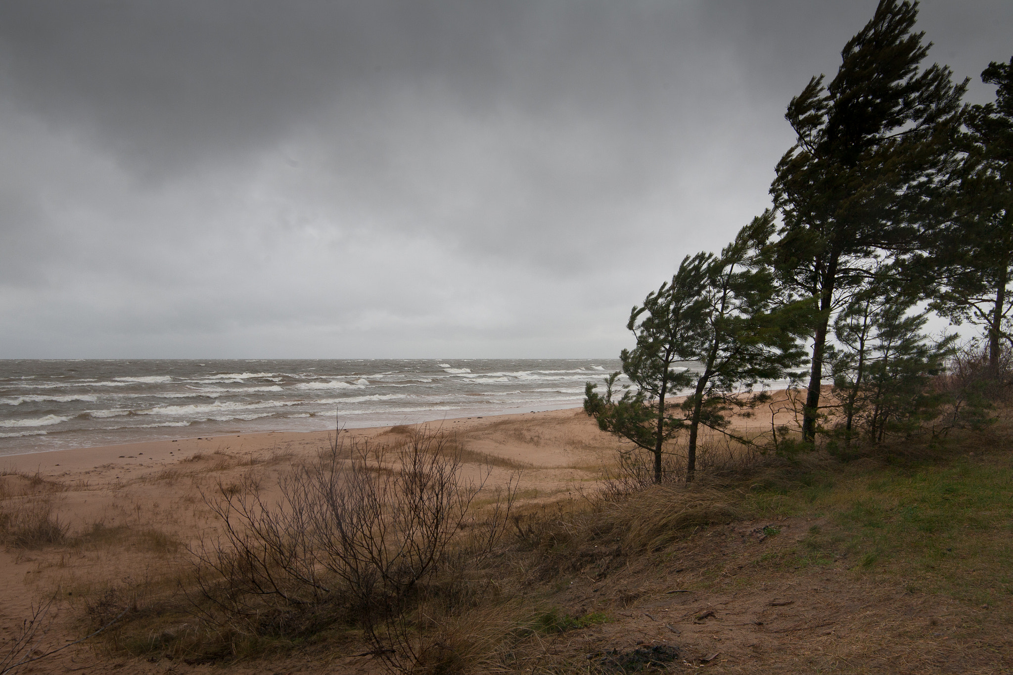 Canon EOS 5D sample photo. Wind photography