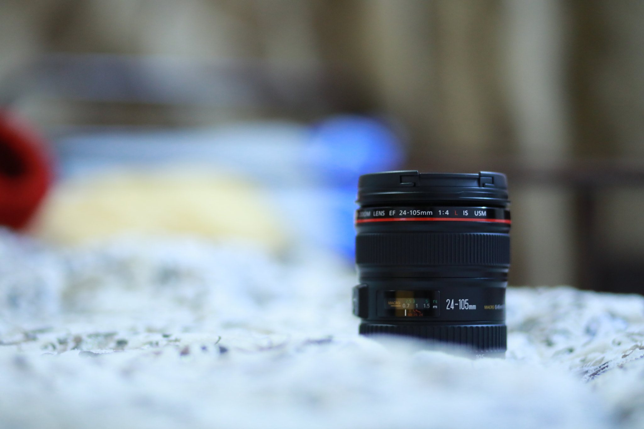 Canon EF 85mm F1.8 USM sample photo