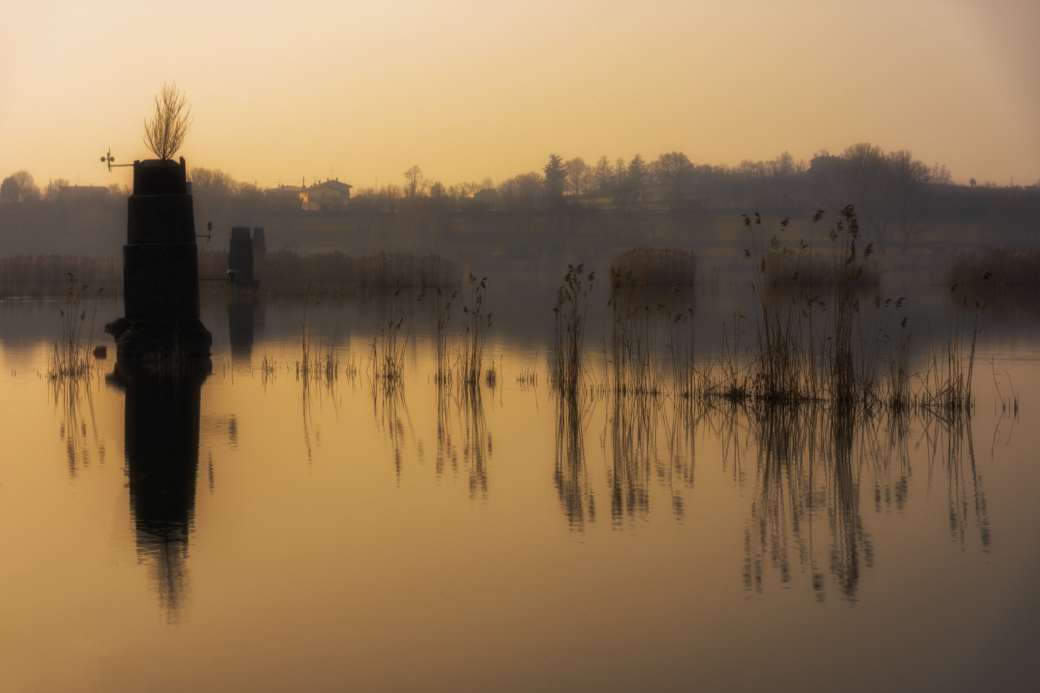 Nikon D7200 + Sigma 17-70mm F2.8-4 DC Macro OS HSM | C sample photo. The delicate sound of light photography